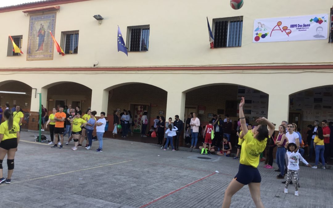 Puertas Abiertas 2019